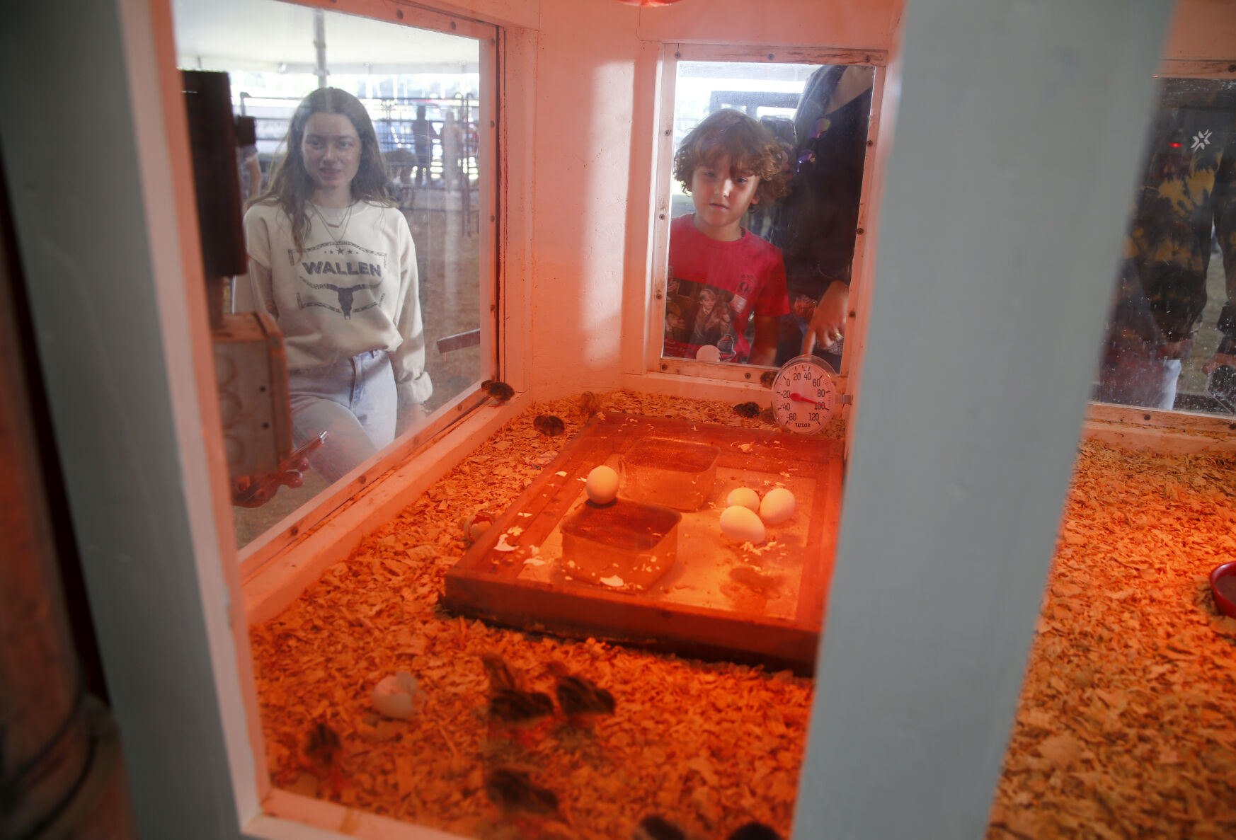 State Fair of Virginia